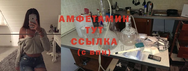 молекула духа Алексеевка