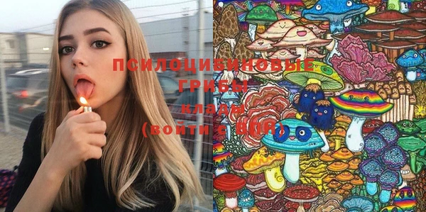 молекула духа Алексеевка
