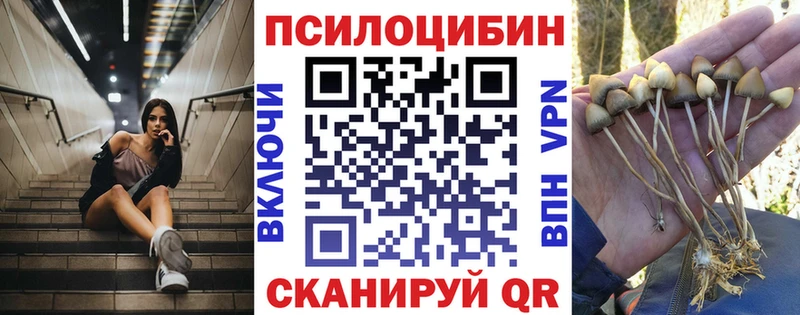 blacksprut ONION  Анива  Псилоцибиновые грибы мухоморы 