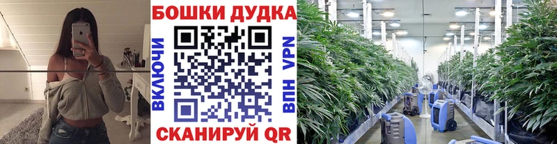 Бошки Шишки THC 21%  ОМГ ОМГ   Анива 
